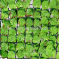 Sunwing rose leaf hedge fence artificial plant leaf fence